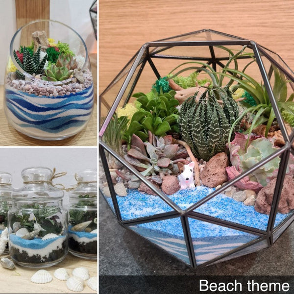 terrarium plants singapore Open Spherical Succulents Terrarium | Giftr