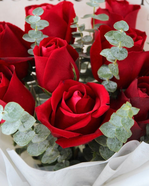 9 Stalks Fresh Red Roses | Giftr - Singapore's Leading Online Gift