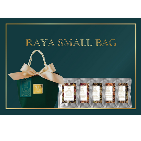 Raya Small Gift Bag (Set Of 2)