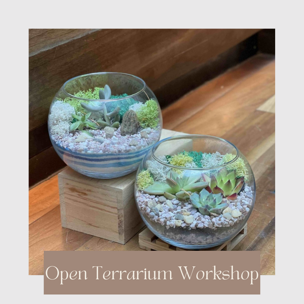 succulent terrarium workshop Open Succulent Terrarium Workshop | Giftr