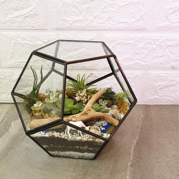 Geo Hexagon Terrariums Giftr Singapore's Leading Online Gift Shop