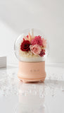 🌹 BloomGlow 🎵 Bluetooth Speaker | 💡 Ambient Light | 💧 Diffuser