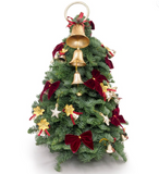 (Christmas 2023) Fresh Mini Christmas Tree Season | (CMAS-240) | (Islandwide Delivery)