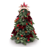 (Christmas 2023) Fresh Mini Christmas Tree Smile | (CMAS-245) | (Islandwide Delivery)