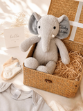 The Gentle Giant | Grey Theme Personalizable Newborn Baby Gift Set (Islandwide Delivery)
