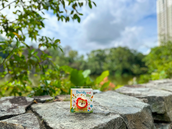 [GIFT SET] Leon The Lion’s Adventure with Daddy | Giftr - Singapore's ...