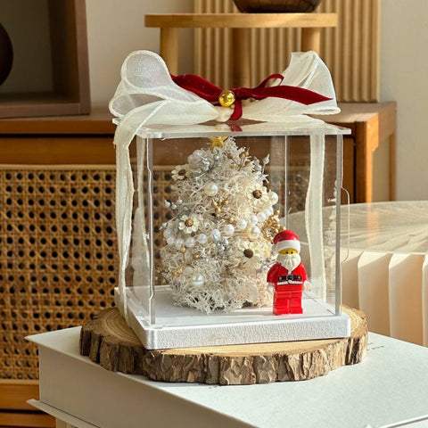 Gabriell Christmas Preserved Flower Frame  - Christmas 2025