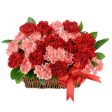 Lovely Flower Basket (MDAY-201)