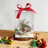 Christmas Globe Terrarium  - Christmas 2025