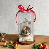Olaf Terrarium  - Christmas 2025
