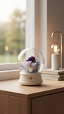 Amethyst Dream Speaker