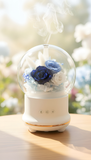 Celestial Blue Botanical Diffuser