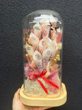 Preserved Flower CASH Dome