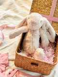 My First Cuddle ｜ Personalized Baby Gift Set, 0 - 9 months Infant Pink Girl (Islandwide Delivery)