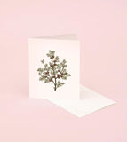 Botanical Scented Card - Hinoki