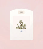 Botanical Scented Card - Hinoki