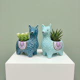 Papa Llama Love - Plant Pot - Father's Day Flowers & Gifts 2026