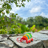 [GIFT SET] Hector the Rainbow Hedgehog's Happy Playtime