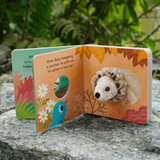 [GIFT SET] Hector the Rainbow Hedgehog's Happy Playtime