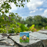 [GIFT SET] Hector the Rainbow Hedgehog's Happy Playtime