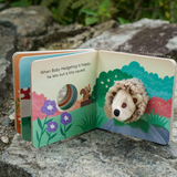 [GIFT SET] Hector the Rainbow Hedgehog's Happy Playtime