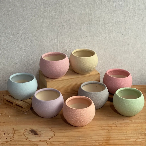 Chinese New Year 2026 : Spring - Preserved pussy willow arrangement - CNY Hampers & Gifts 2026