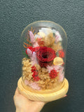 Preserved Flower Dome (Valentine's Day 2026)