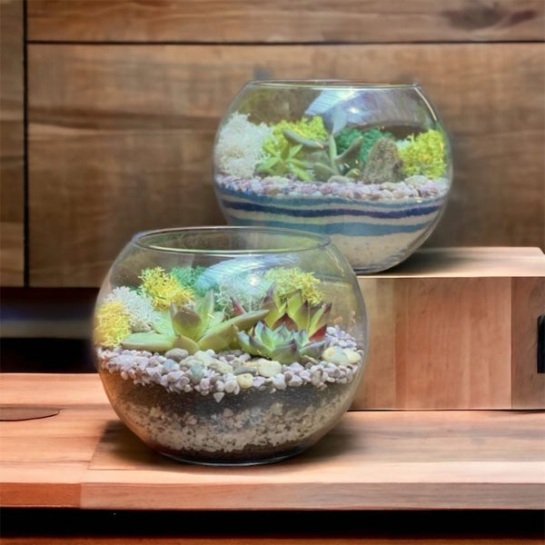 Cottage Terrarium: LED lit Hedgehog and good birds