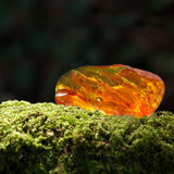 Amber & Moss Crystal Candle