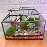 Geo Glass House Terrarium (Large)