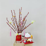 [CNY 2023] Red Prosperity Willow (Fresh Flowers) | (On-demand Delivery)