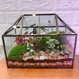 Geo Glass House Terrarium (Large)