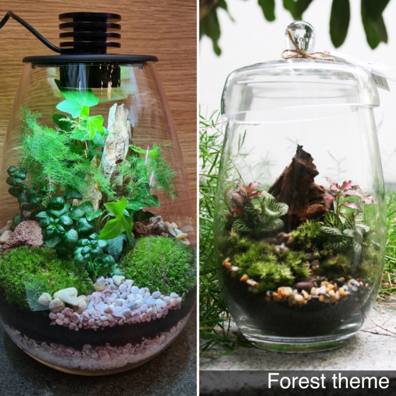 Geo Hexagon Terrarium (Giant) Giftr Singapore's Leading Online Gift