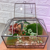 Geo Glass House Terrarium (Large)