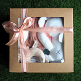 Newborn Premium Baby Girl Gift Set (Set of 7)