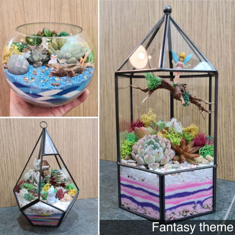 Geo Hexagon Terrarium (Giant) | Giftr - Singapore's Leading Online Gift ...