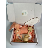 Baby Gift Set - Pink Comforter Star Rattle Bunny Teether