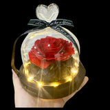 My One and Only (Preserved Rose in Glass Dome with Fairy Lights)