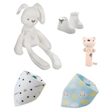 Newborn Premium Baby Boy Gift Set (Set of 5)