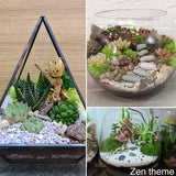Open Egg Succulent or Airplant Terrarium