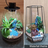 Open Egg Succulent or Airplant Terrarium