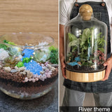 Open Egg Succulent or Airplant Terrarium