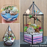 Open Egg Succulent or Airplant Terrarium