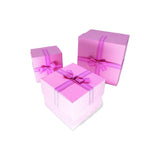 Gift Box - Pink with Ribbon (L) (Set of 2)