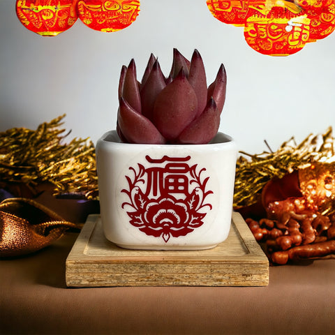 Chinese New Year 2026 : Bliss - CNY Hampers & Gifts 2026