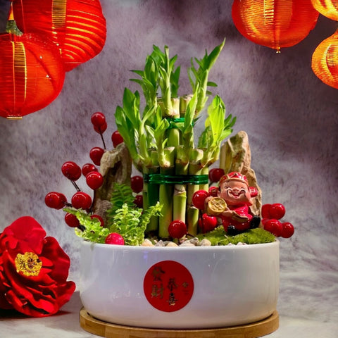 Chinese New Year 2024 : Lucky Bamboo in Luck Pot