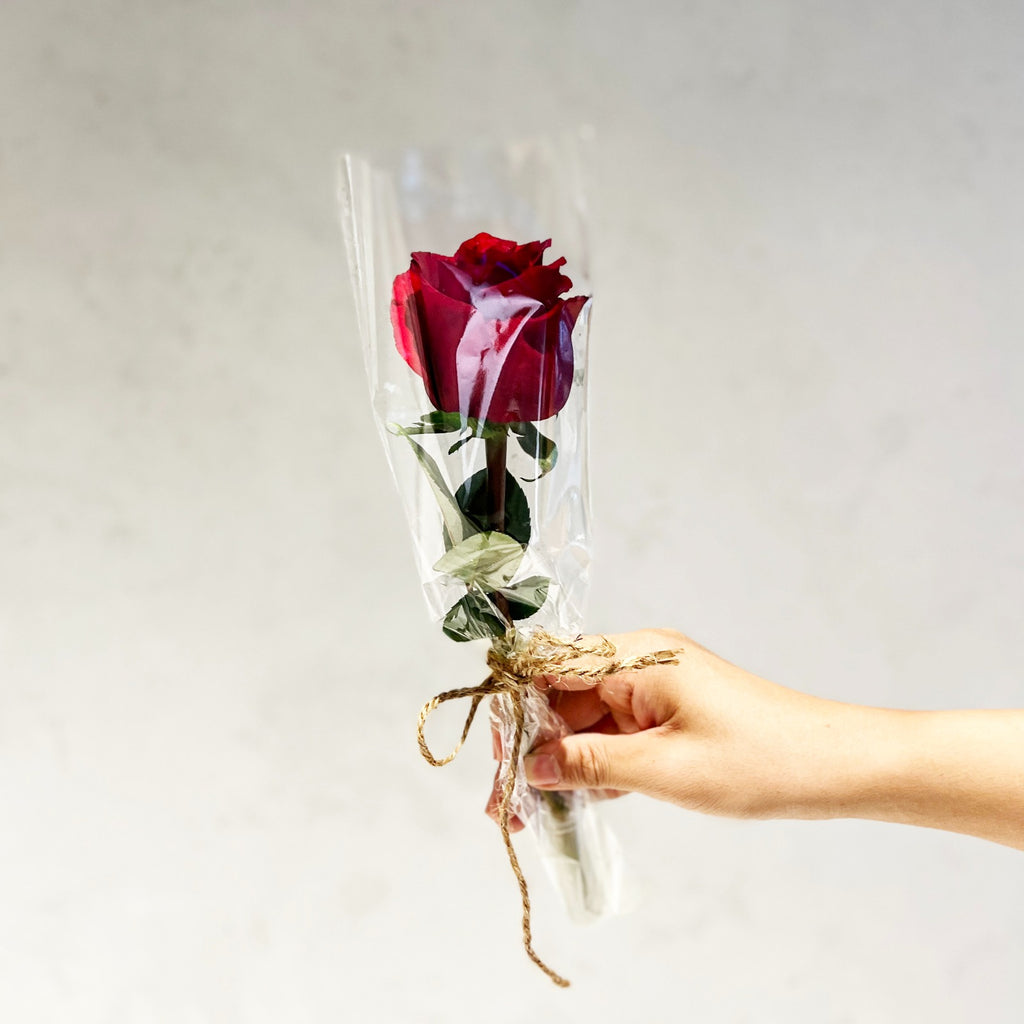 One Rosa Flower Gift Single Stalk Rose - Valentine's Day Flowers & Gifts 2026 | Giftr ...