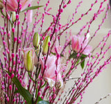 [CNY 2024] Lunar New Year flowers "Fortune"