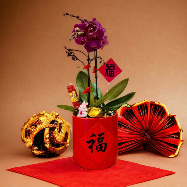 Chinese New Year 2024 : Orchid in Abundance Pot | Giftr - Singapore's ...