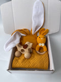Welcome Baby Gift Box Set Baby Shower Gift Rattle Car